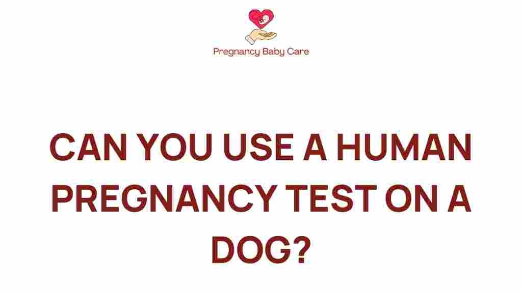 can-you-use-human-pregnancy-test-on-dog