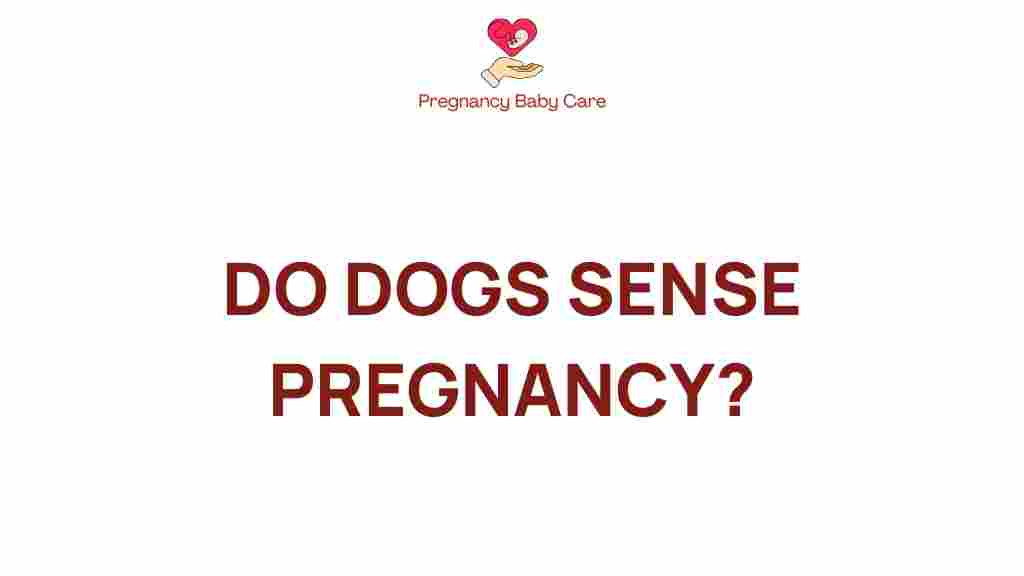 do-dogs-sense-pregnancy