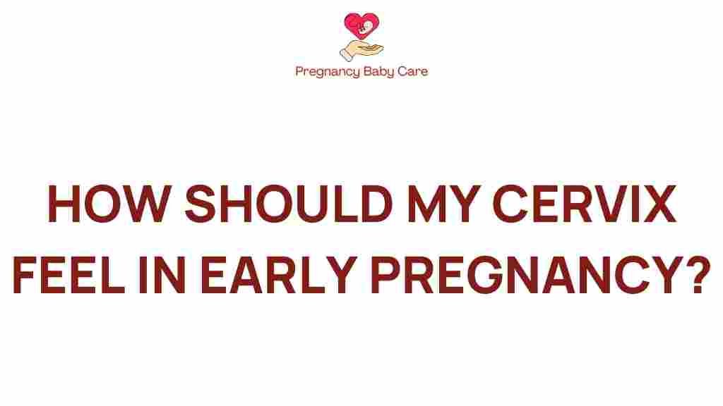 cervix-early-pregnancy