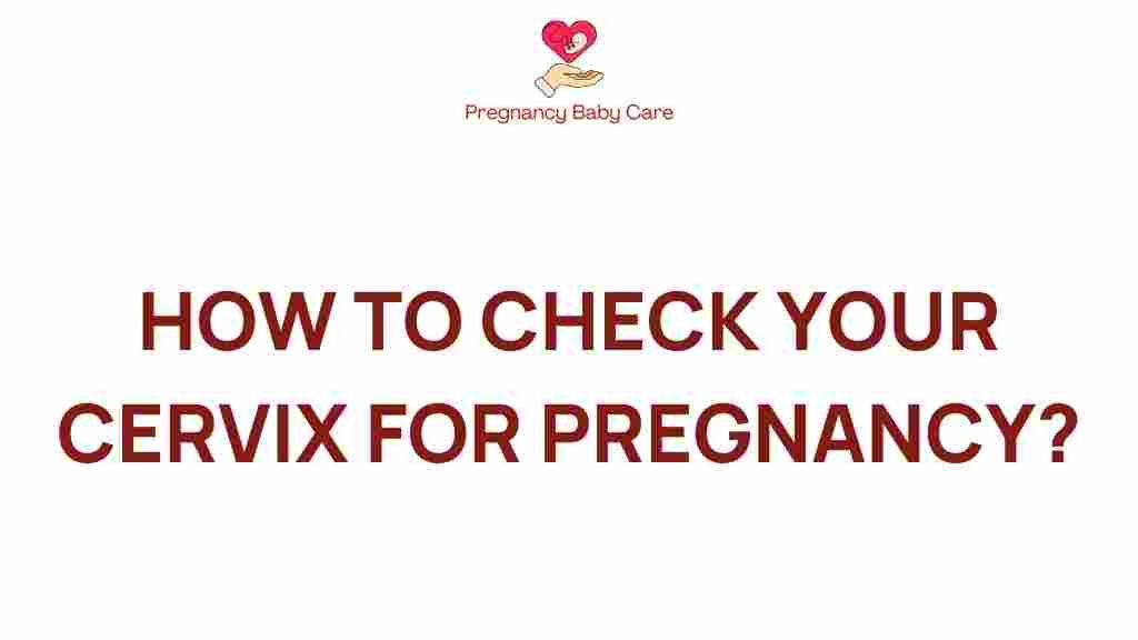 cervix-check-pregnancy