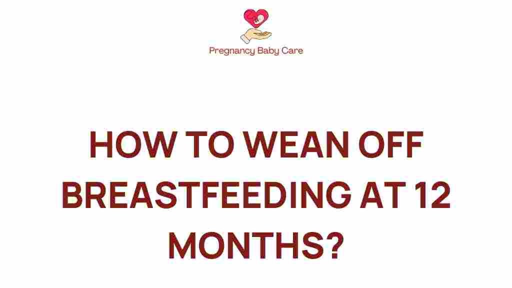 weaning-breastfeeding-12-months