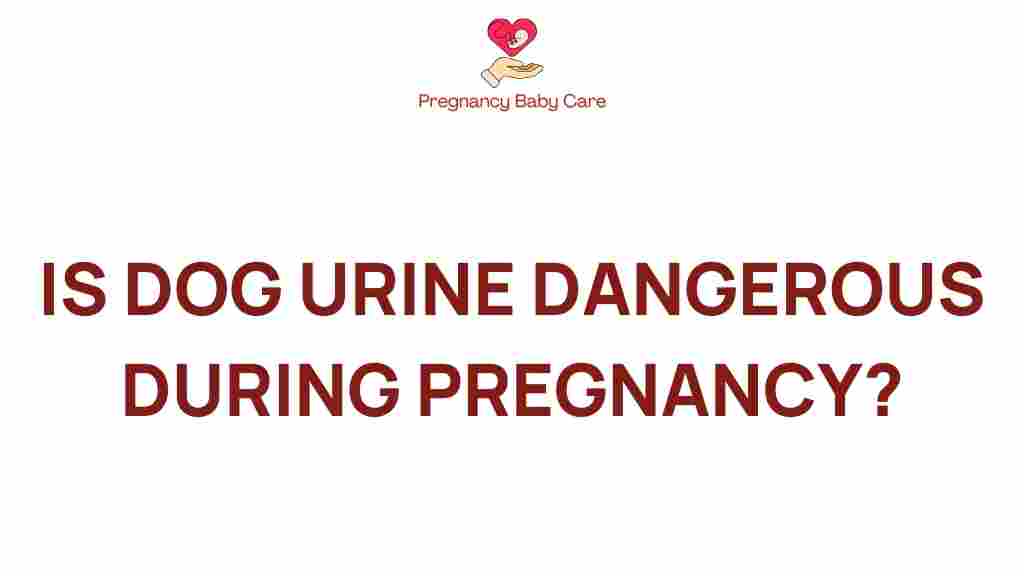 dog-urine-danger-pregnancy