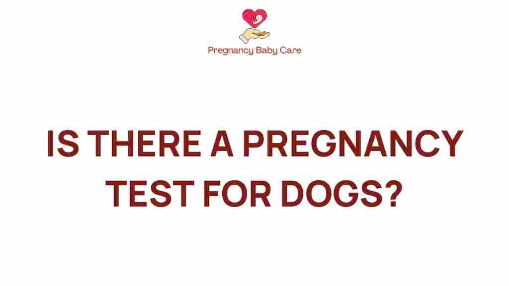dog-pregnancy-test