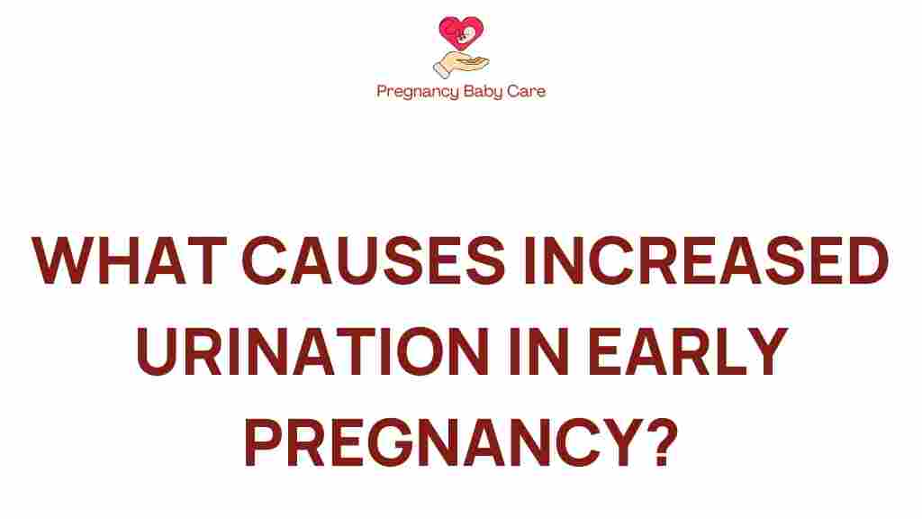 increased-urination-early-pregnancy