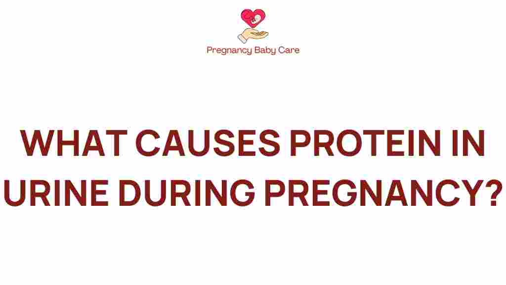 protein-in-urine-pregnancy