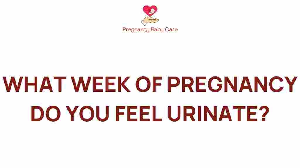 pregnancy-urge-to-urinate