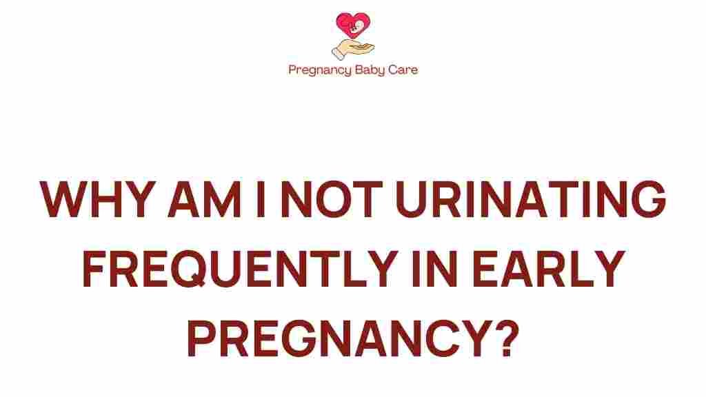 early-pregnancy-urination-mystery
