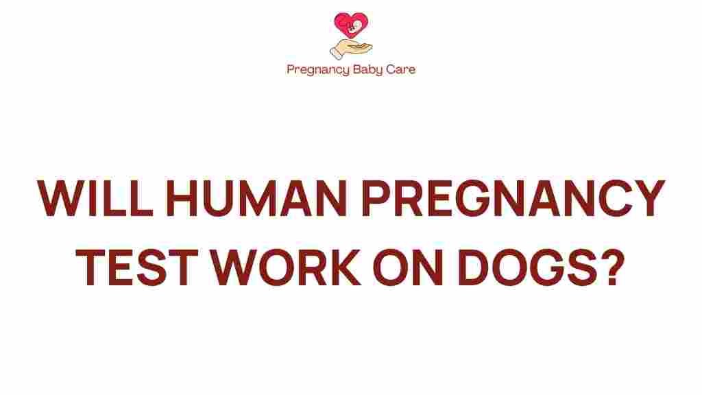 can-human-pregnancy-test-work-on-dogs
