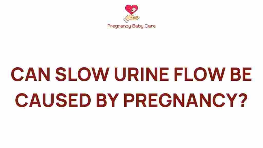 can-pregnancy-impact-urine-flow