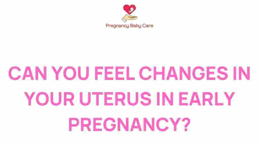 uterus-changes-early-pregnancy