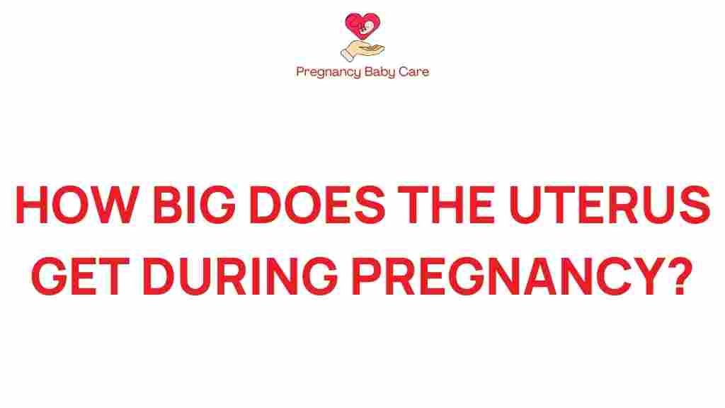 how-big-uterus-get-during-pregnancy