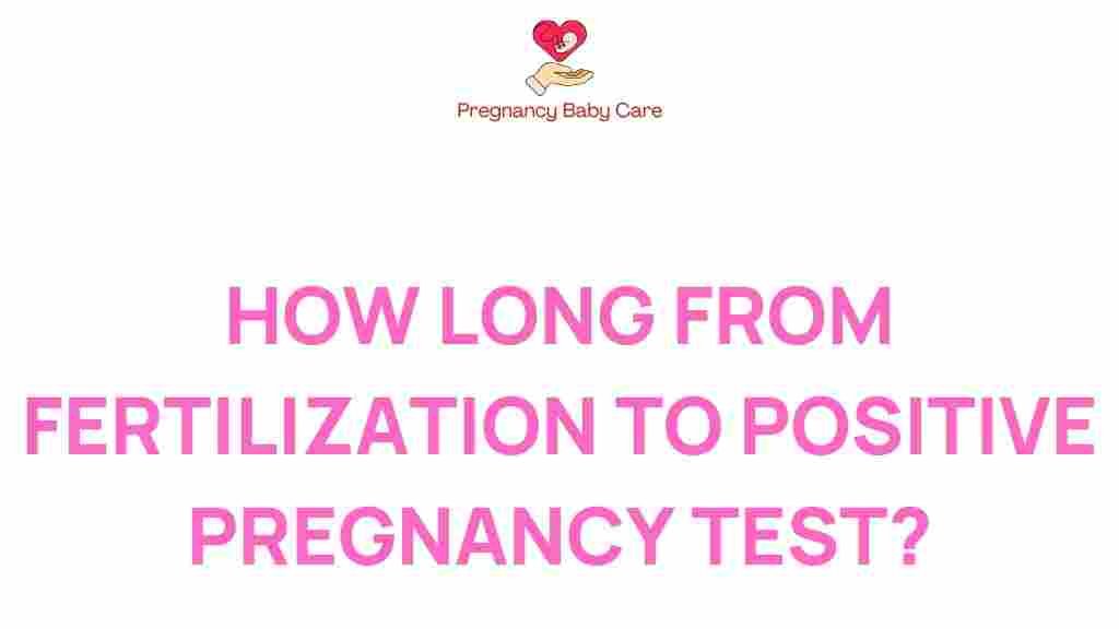 how-long-from-fertilization-to-pregnancy-test