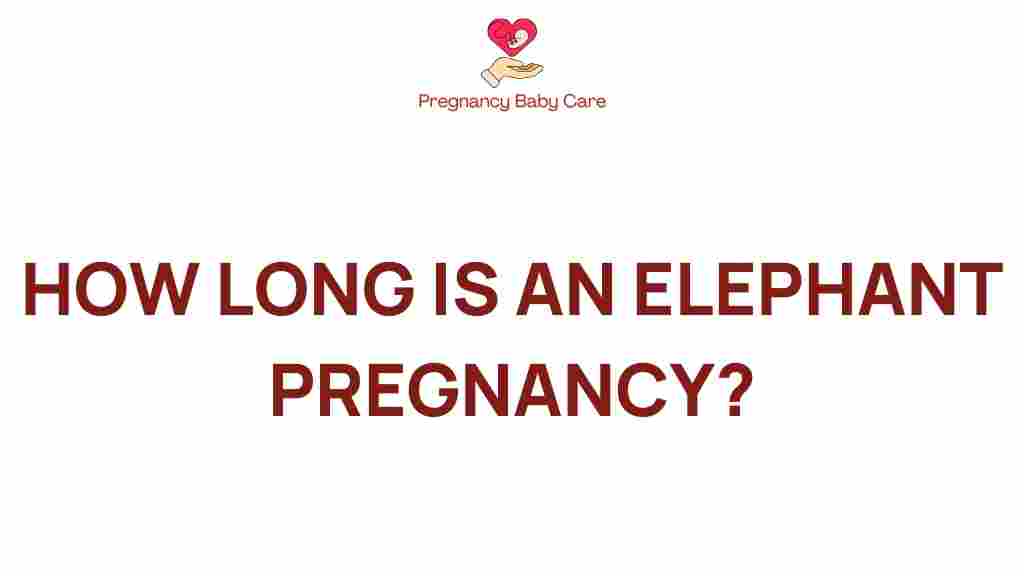 elephant-pregnancy-fascinating-duration
