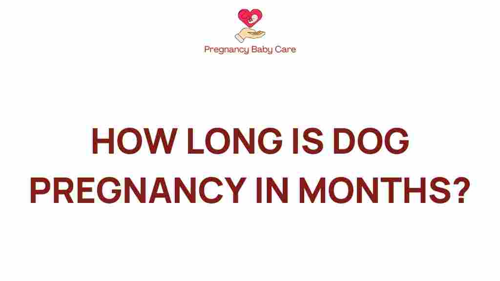 dog-pregnancy-duration