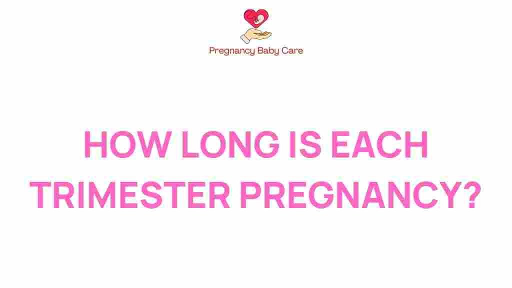 pregnancy-duration-trimester-length