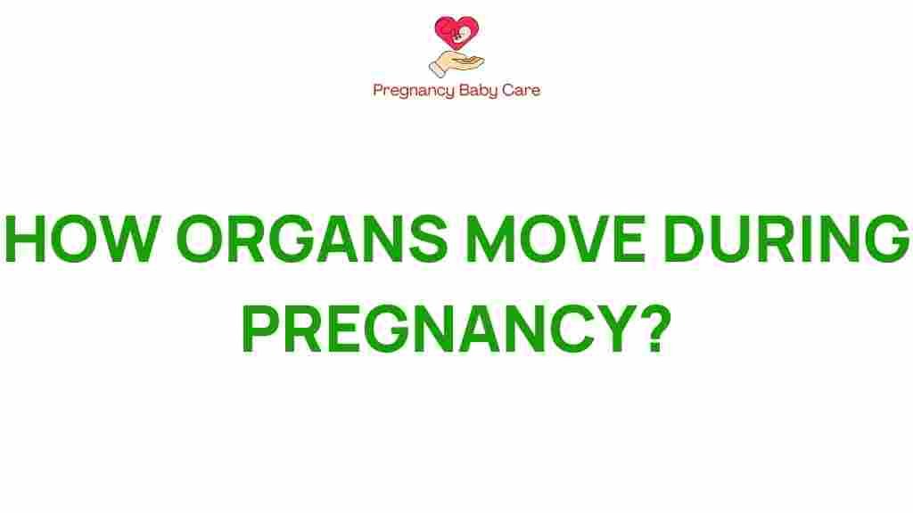 pregnancy-organ-movement
