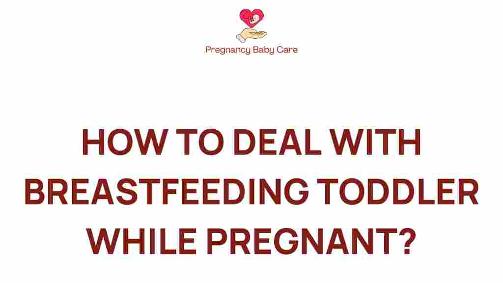 breastfeeding-toddler-pregnancy