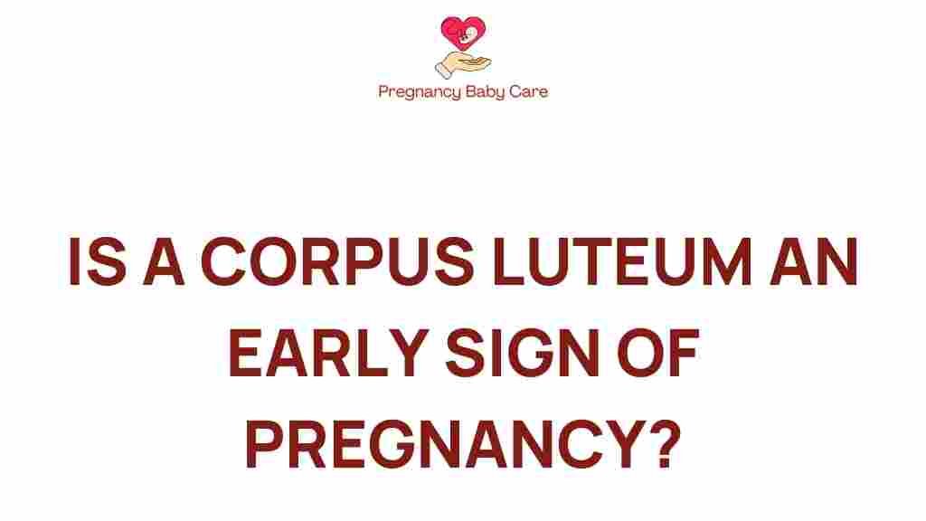 corpus-luteum-early-sign-pregnancy