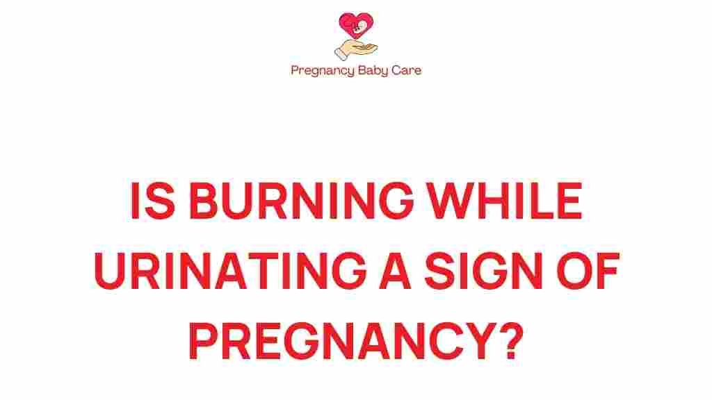 burning-while-urinating-pregnancy