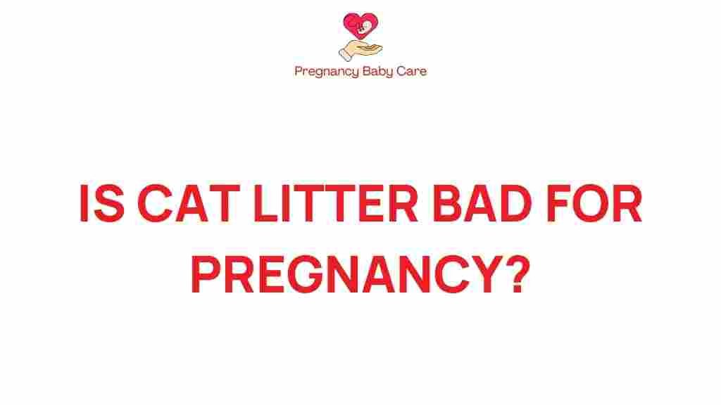 cat-litter-pregnancy-risks