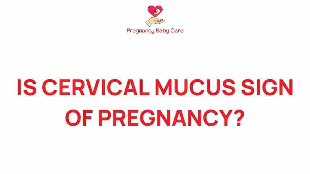 cervical-mucus-sign-pregnancy