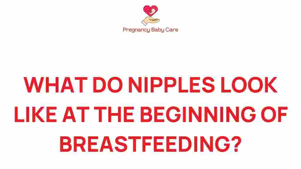 nipples-breastfeeding-beginnings