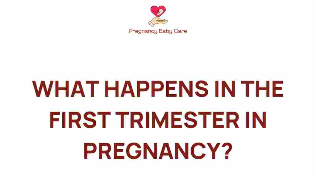 first-trimester-pregnancy