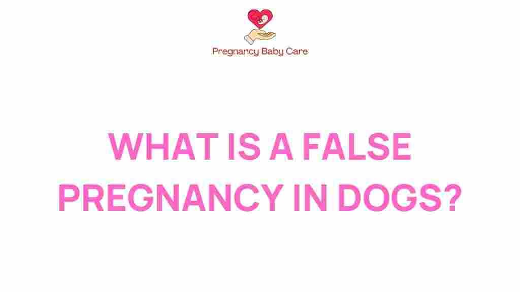 false-pregnancy-in-dogs