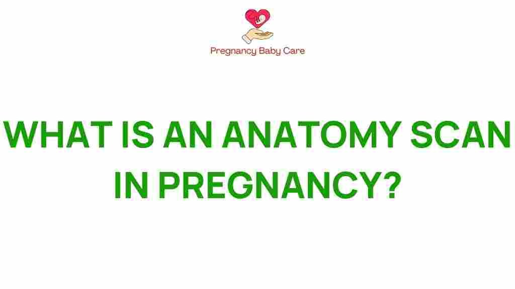 anatomy-scan-pregnancy