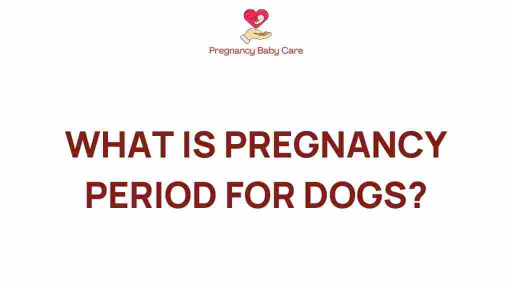 dog-pregnancy-period