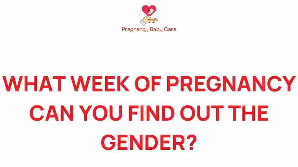 discovering-gender-pregnancy