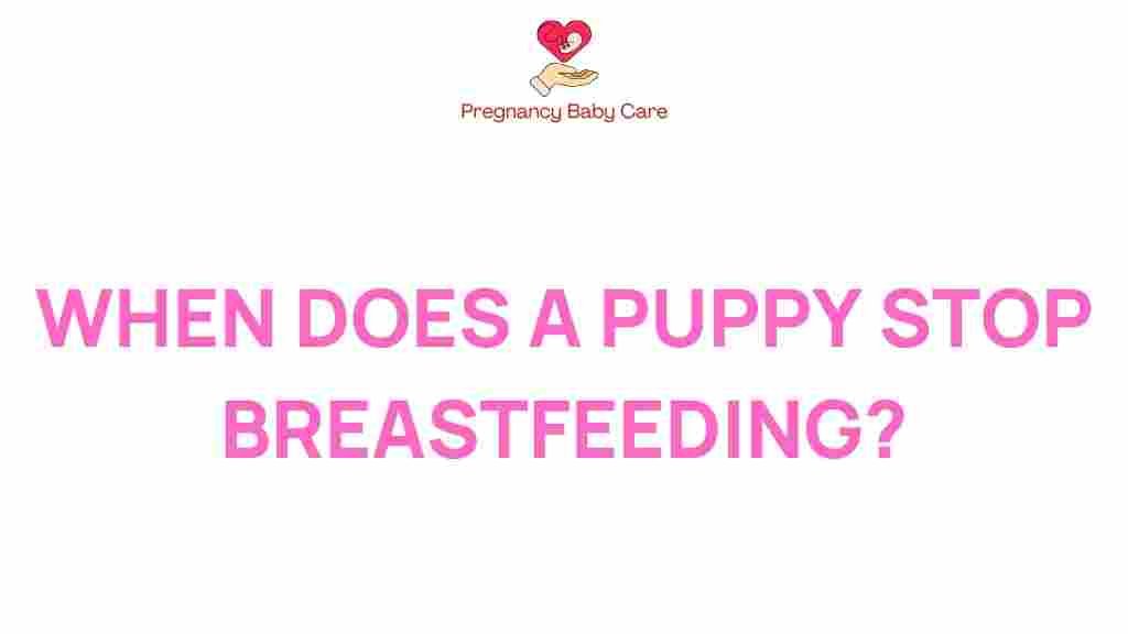 puppy-breastfeeding-transition