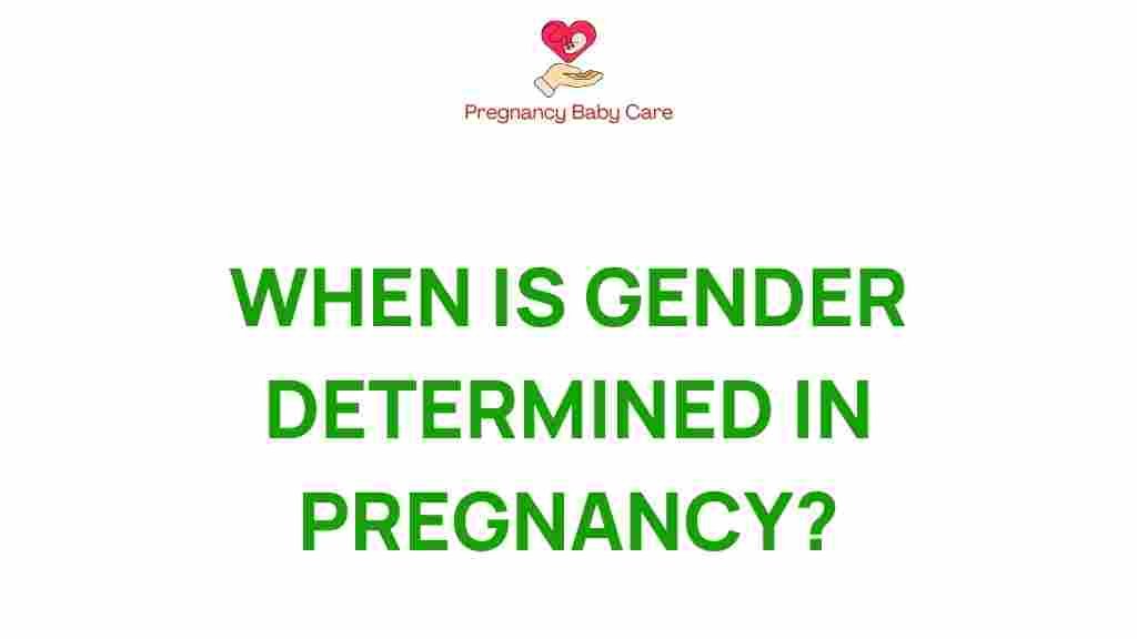 gender-determination-pregnancy