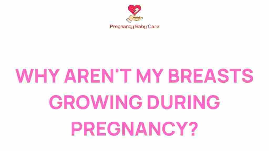 breast-growth-pregnancy