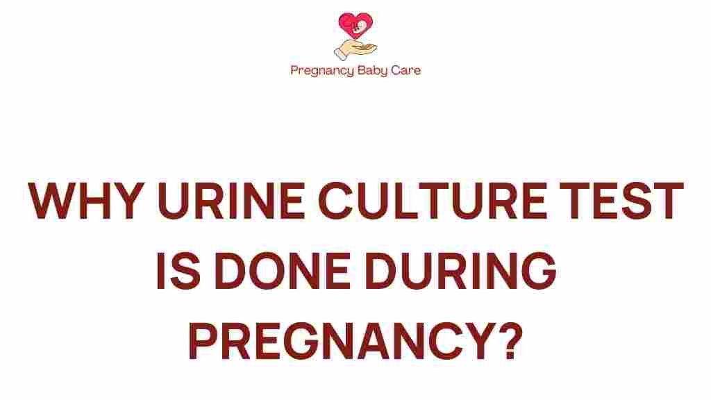 urine-culture-test-pregnancy